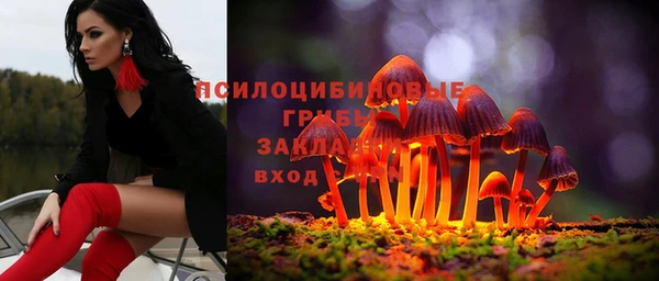 2c-b Кинешма