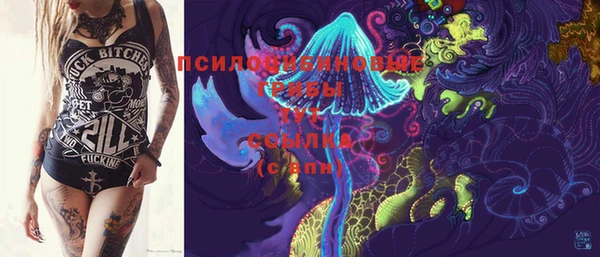 2c-b Кинешма