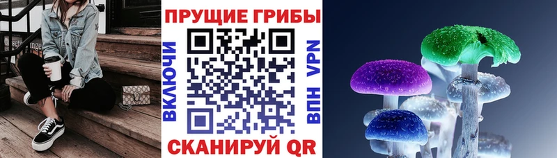 Псилоцибиновые грибы Psilocybe Спас-Деменск