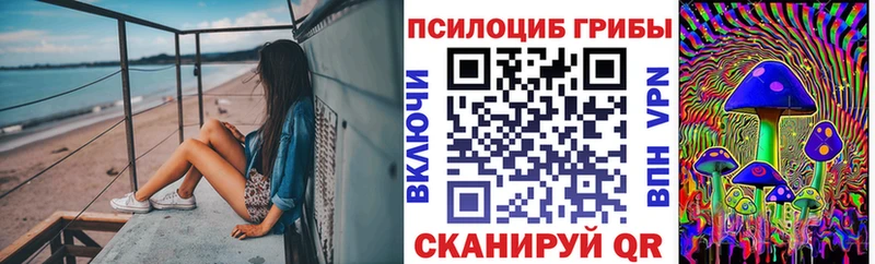 Купить  Спас-Деменск  Псилоцибиновые грибы Psilocybine cubensis 